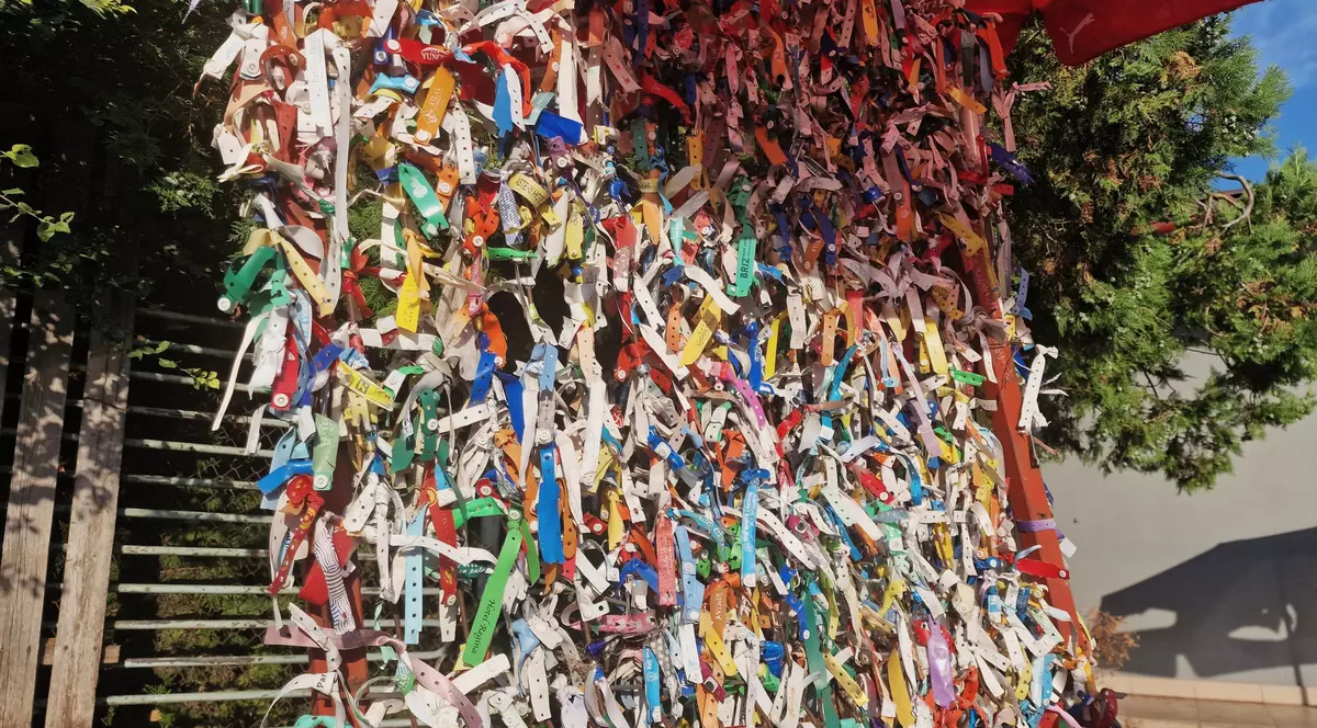 Brățări de all inclusive în no man's land dintre România și Bulgaria