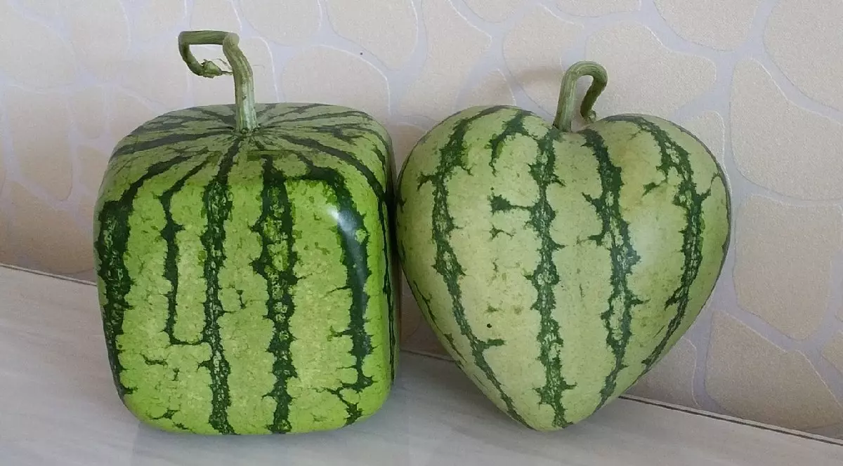 Pepeni verzi modelați în forme pătrate și de inimă, creați de compania chineză Fruit Mould Co