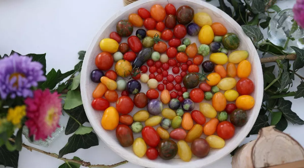 Mai multe tipuri de tomate rosii, portocalii, mov, verzi, pe o farfurie routunda, de culoare alba