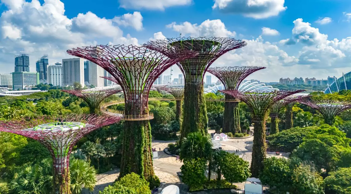Gardens by the bay din Singapore, fotografiate în timpul zilei