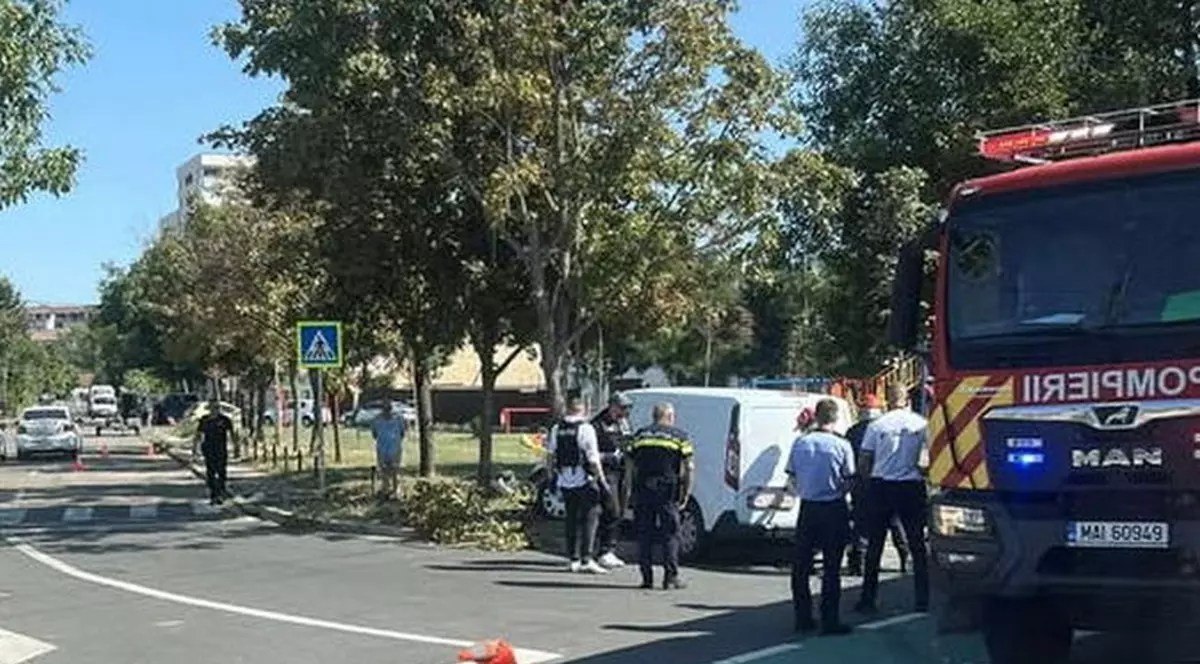 Drogat la volanul unei dubițe, un tânăr a intrat într-un copac, în Oradea. Ce au descoperit polițiștii că transporta pe ascuns