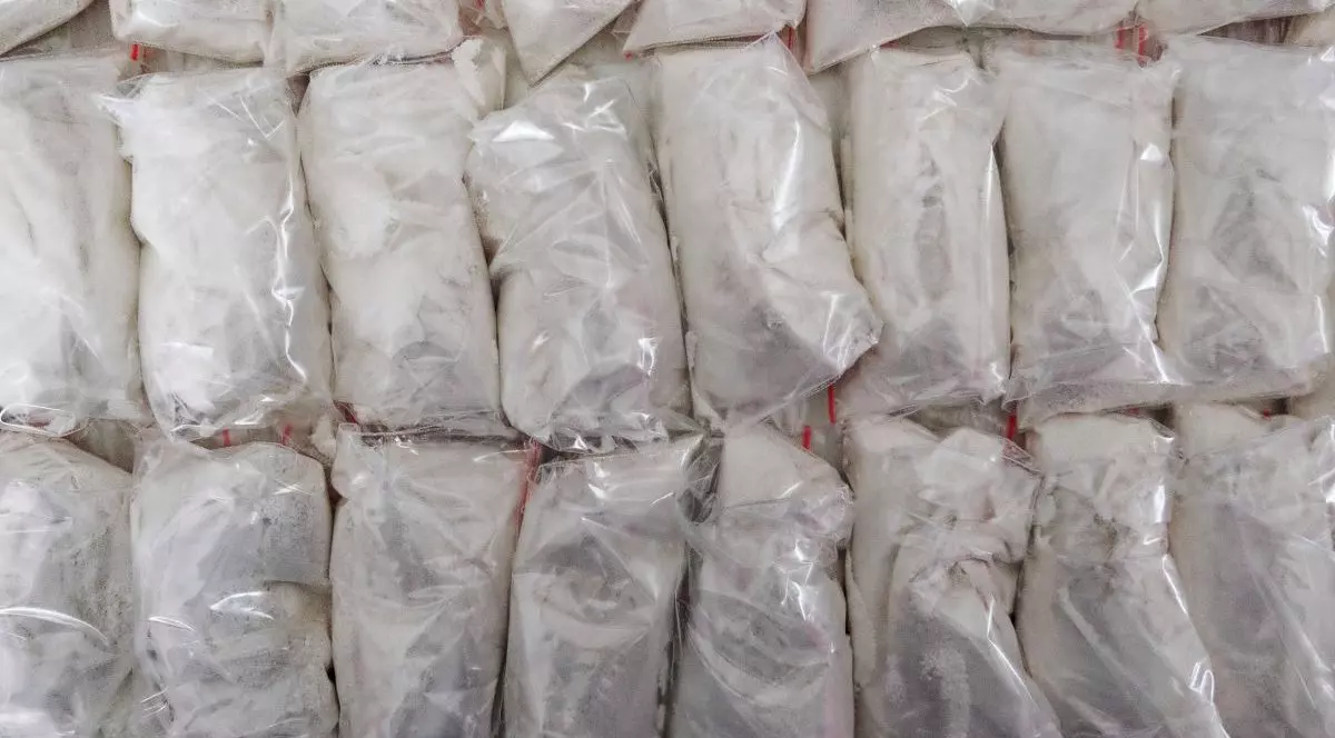 Un număr mare de pachete transparente umplute cu pulbere albă care este cocaină