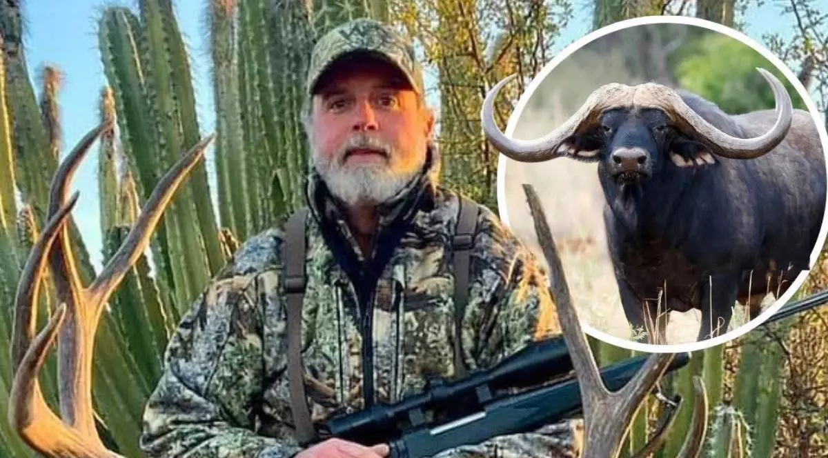 In imagine in costum de camuflaj, sapca si pusca care pozează in fata unor cactusi inalti. in medalion, un bivol negru cu coarne mari