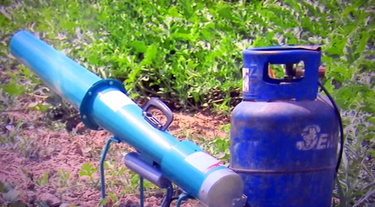Tunuri chinezești pe butelii de gaz și momâi din cârpe: cum se bat fermierii din Brăila cu ciorile care le atacă recolta