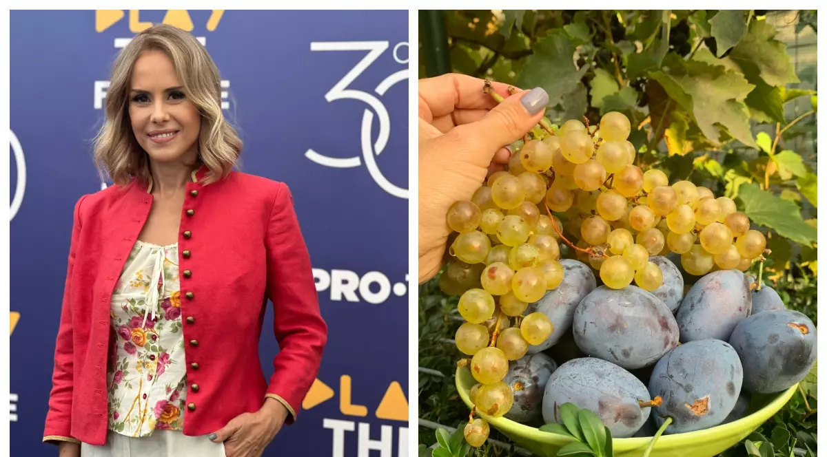 De ce nu este bine să consumăm fructe în exces. Mihaela Bilic trage un semnal de alarmă. „Nu trebuie să uităm că sunt un desert!”