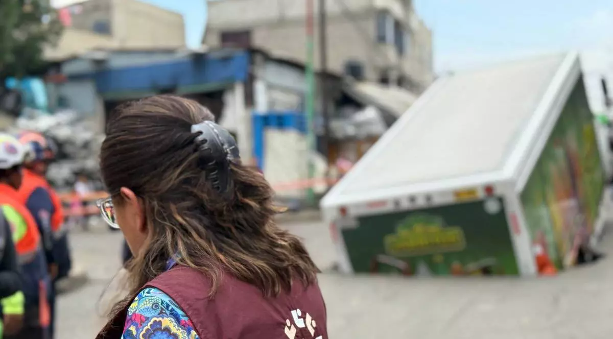 Camionul a fost înghițit de o groapă. Foto: X