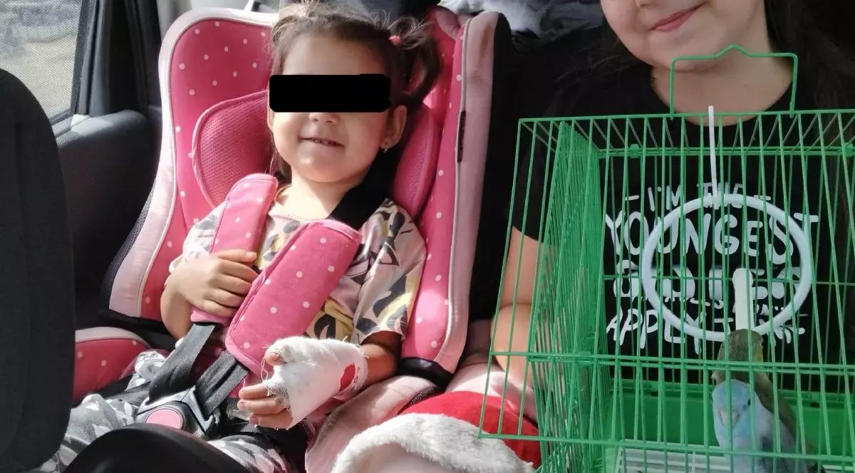 Ima imagine doua fetite pe bancheta din apste a unei masini, una in scaun special pentru copii, cu banda neagra pe ochi, cu mana bandajata, cealalta tinanad in brate o colivie