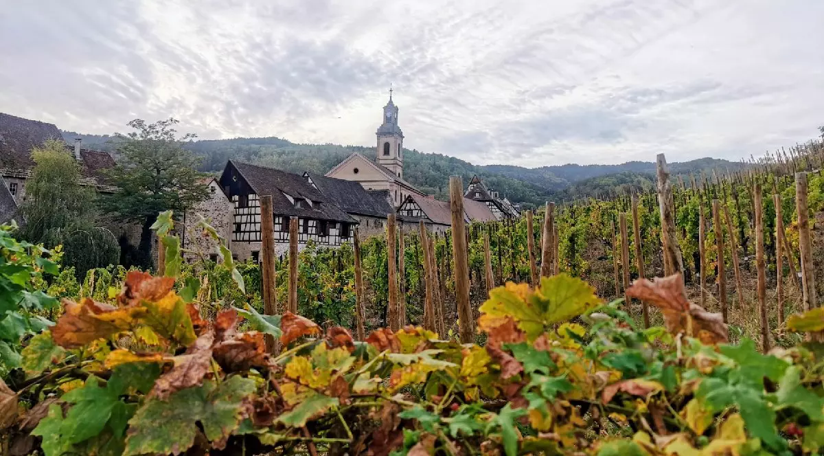Viata de vie din satul Riquewihr, Franța