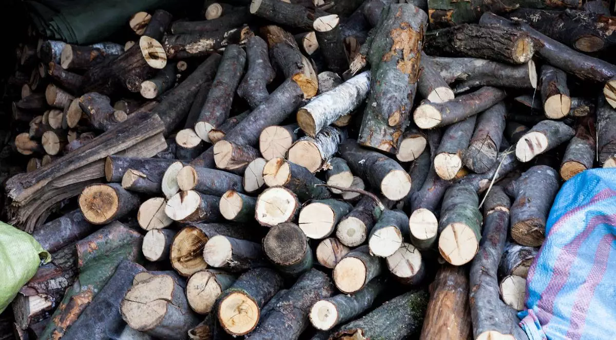 Grămădă de lemne de foc în hambar. Grămădă de lemne de foc gata pentru iarnă. Vânzarea de lemne pentru foc iarna.