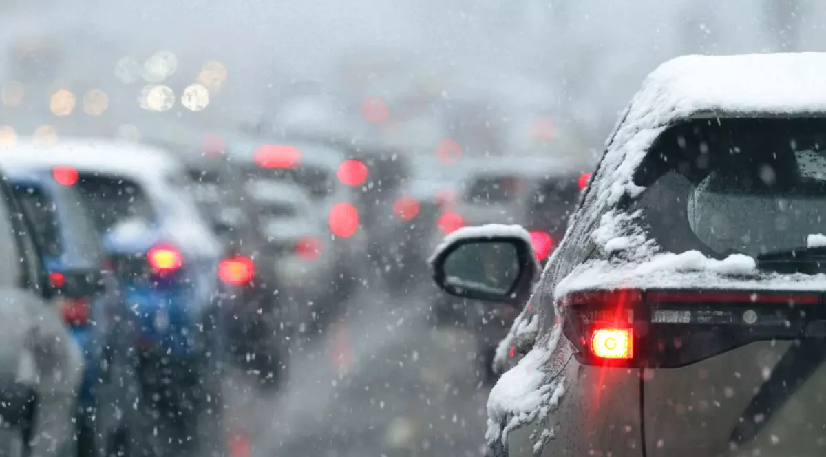 Mașini acoperite cu zăpadă, fotografiate din spate, pe un drum înzăpezit, iarna