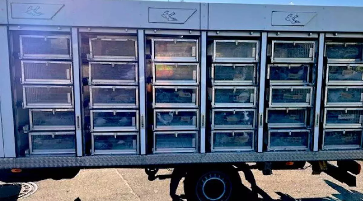 70 de prumbei au fost transportați ilegal într-o dubă