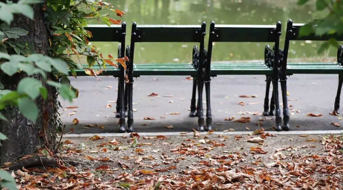 În prim-plan se văd niște bănci verzi, goale, fotografiate din spate, în fața lor se vede lacul Cișmigiu, iar în spatele băncilor sunt frunze maro căzute pe jos, parcul Cișmigiu, București, 30 septembrie 2025