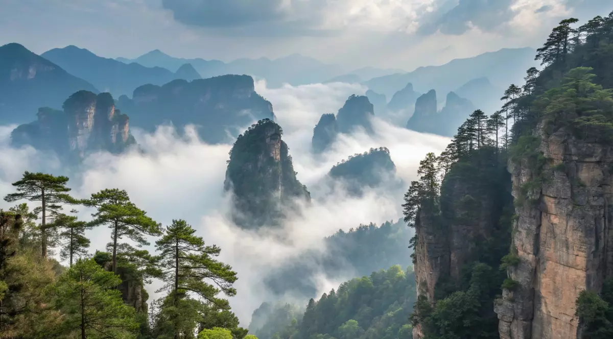 Peisaj spectaculos cu cu munți, ceață și copaci din Zhangjiajie, China