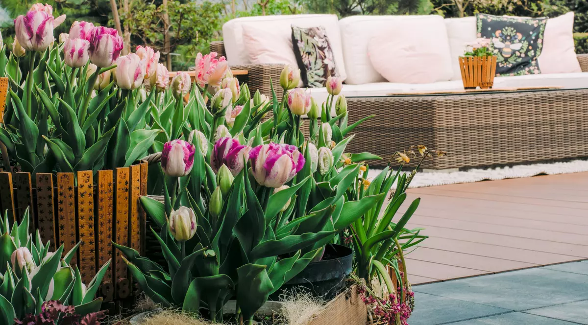 Avantaje mobilierului de grădină pliabil: Soluții practice pentru spații mici