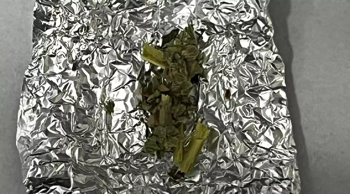 Imaginea prezintă o folie de aluminiu mototolită, cu resturi vegetale verzui