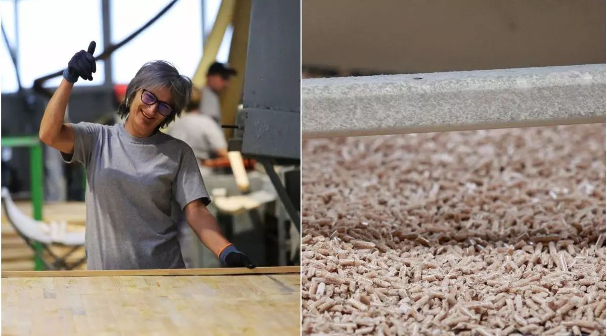 O fabric&#259; din Rom&acirc;nia a intrat &icirc;n Cartea Recordurilor. Ce a f&#259;cut compania din Com&#259;ne&#537;ti, care are 800 de angaja&#539;i