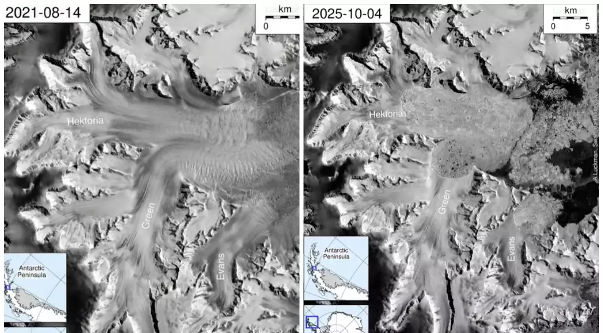 Imagine din satelit care prezintă o diferență în dimensiunea ghețarului Hektoria.