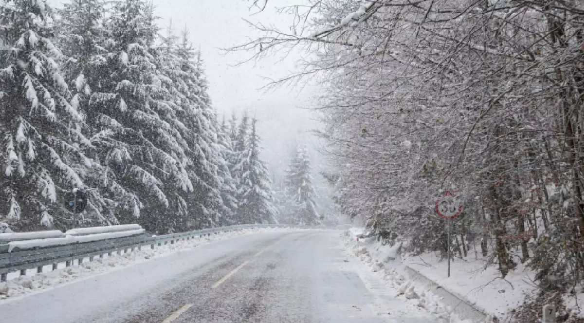 Drum de munte acoperit de zăpadă, flancat de copaci încărcați de omăt. Peisaj de iarnă, cu câteva urme de pași pe drum, un indicator roșu și un parapet acoperit de zăpadă în partea stângă