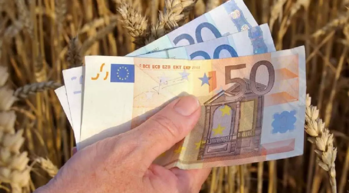 O persoană ține în mână mai multe bancnote de euro lângă un lan de grâu