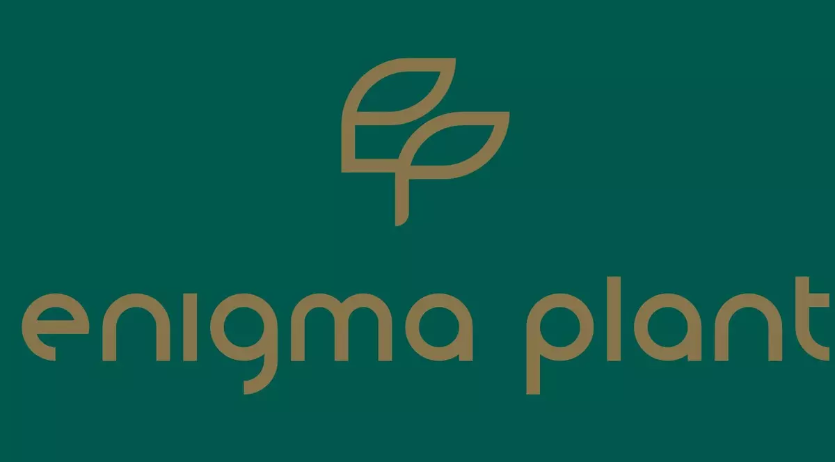 Logo enigma plat pe fundal verde inchis