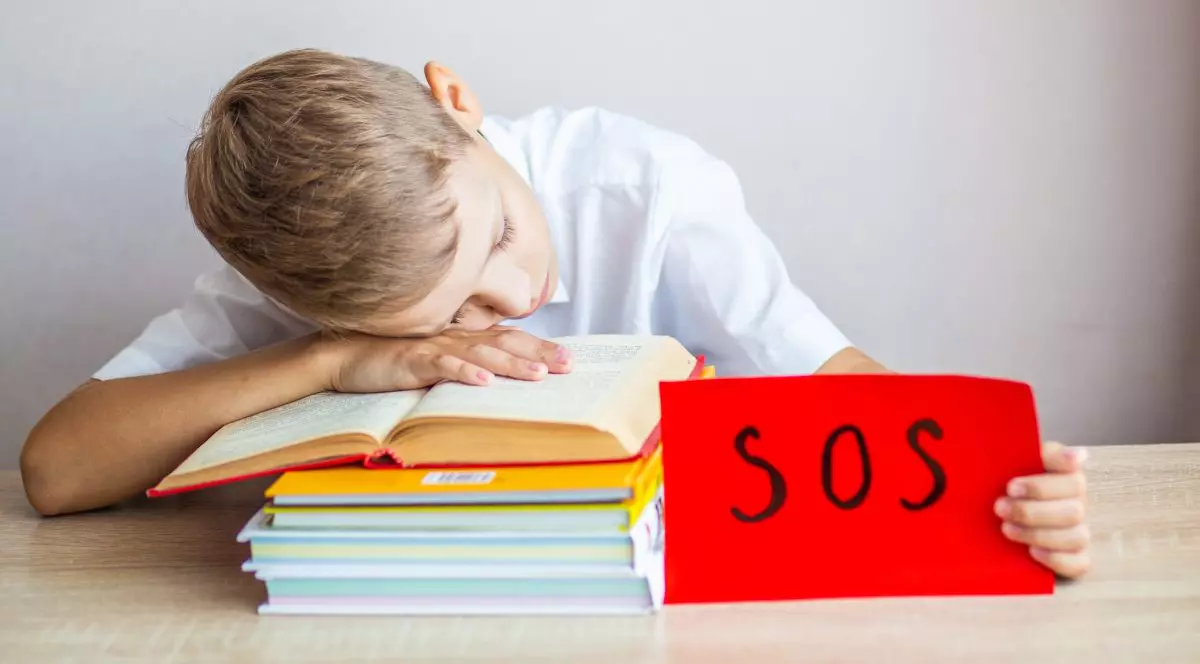 elev care se odihneste cu capul pe o carte deschisa