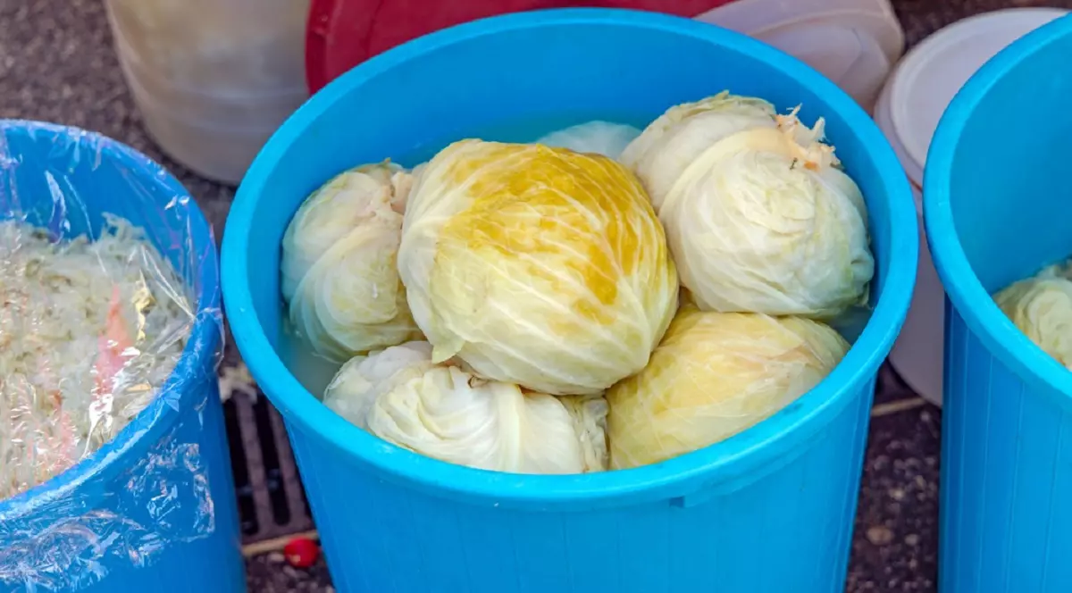 De ce nu se acrește varza la murat și ce trebuie sa faci - Imagine cu găleţi cu varză murată