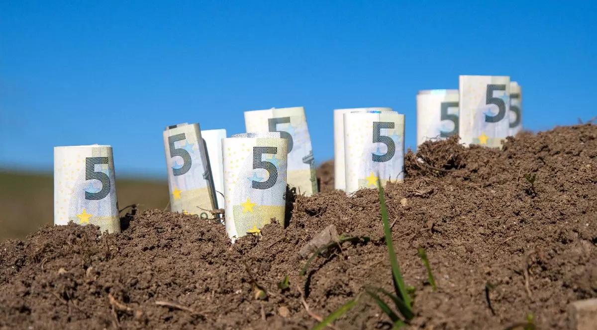Câteva bancnote de 5 euro înfipte în terenul agricol