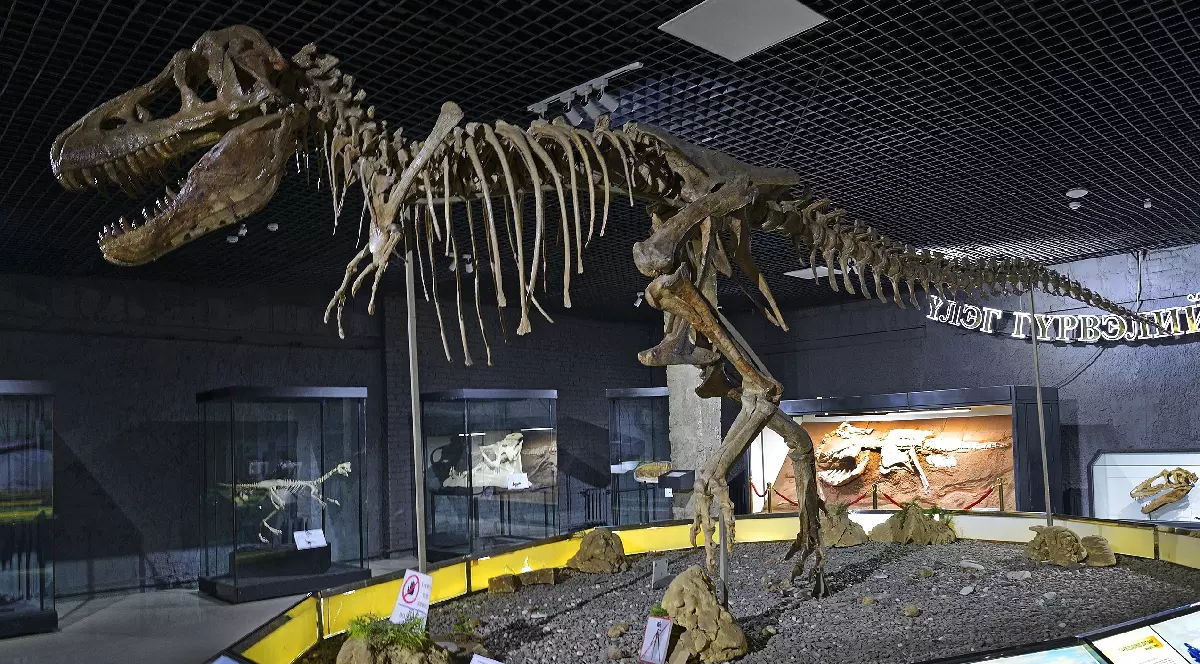 Schelete al unui tarbosaurus baatar