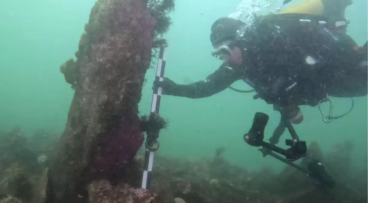 scafandru complet echipat care măsoară un obiect mare, vertical și acoperit de alge. Obiectul de măsurat este de culoare maro închis și pare a fi un trunchi sau un stâlp masiv, rugos. Scafandrul poartă un costum negru de neopren, mănuși și o mască de scufundare, iar pe cap are o cagulă galbenă. Măsoară obiectul folosind o riglă de măsurare alb-negru, gradată, pe care o ține cu ambele mâini.