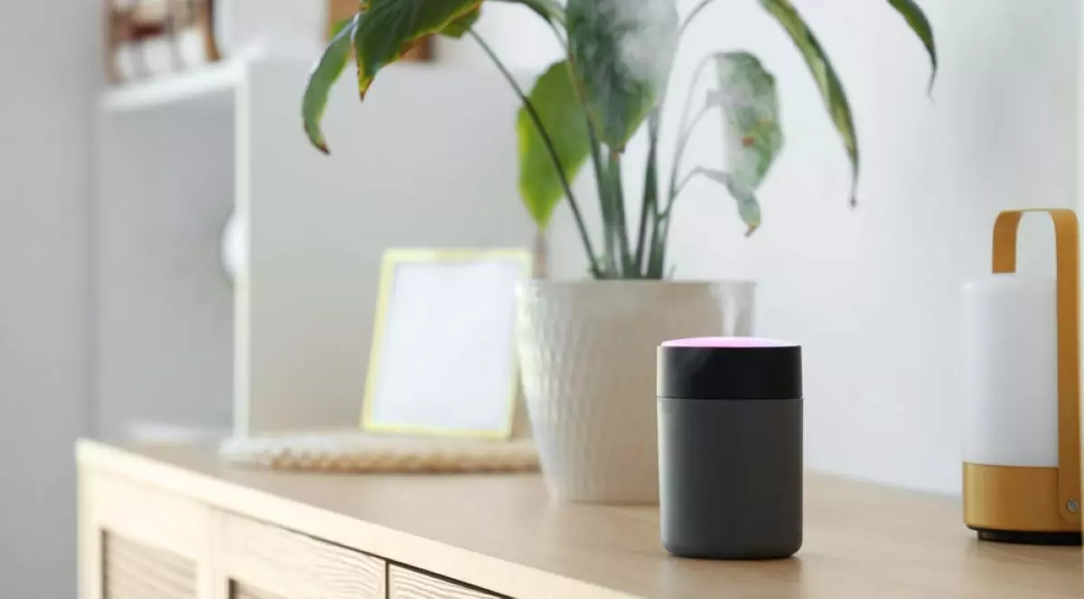 Cum previi uscarea excesivă a aerului din casă când merg caloriferele