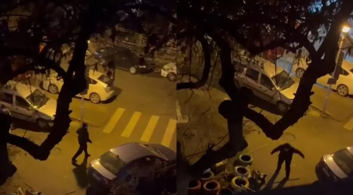 Bărbatul a fost filmat în timp ce distrugea căsuțele pentru pisici comunitare.