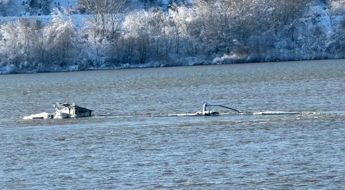 Barja scufundată în Dunăre, lângă Zimnicea, iar pe fundal vegetație înghețată și zăpadă