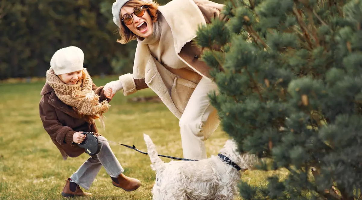 Combaterea sedentarismului urban: cum incluzi mișcarea în rutina zilnică fără a merge neapărat la sală