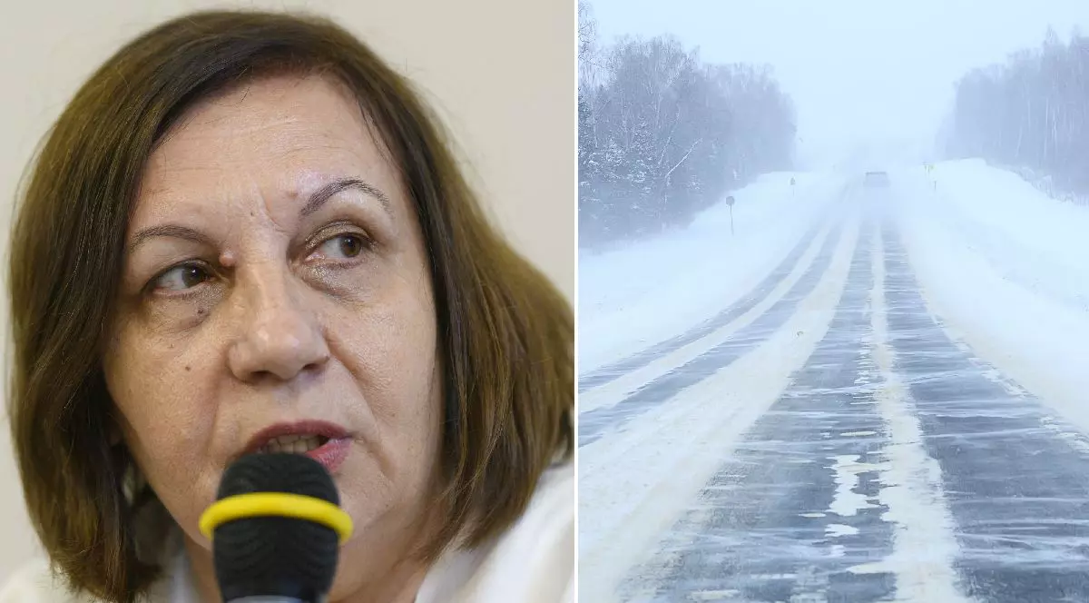 Colaj din două fotografii: în stânga Elena Mateescu, director ANM, vorbind la microfon în timpul uneii conferințe de presă, ira în dreapta un drum cu două benzi, acoperit de zăpadă și copaci fără frunze de o parte și de alta.