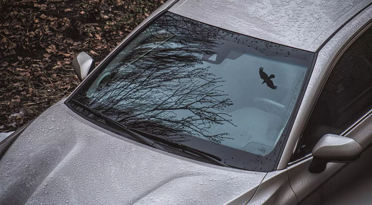 Siguranța începe cu lucrurile pe care alegem să nu le ignorăm