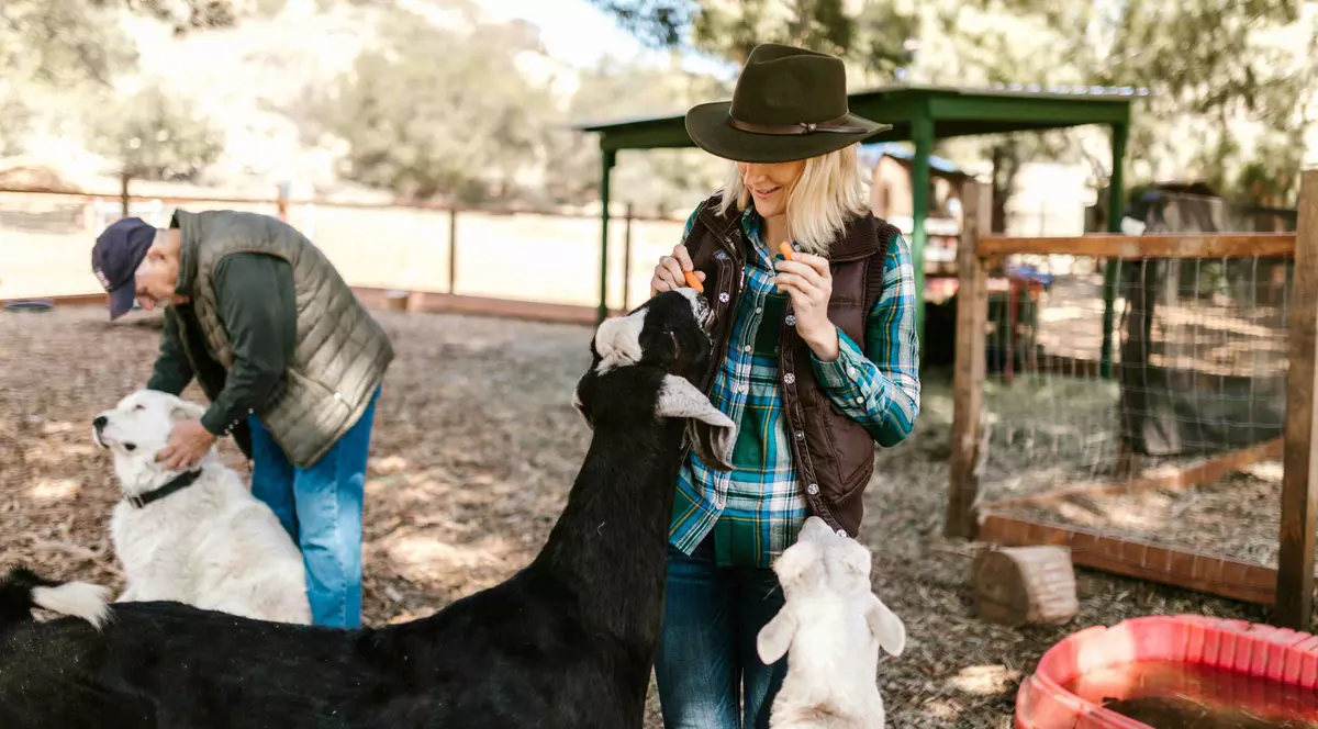 Ce meserii poți urma dacă ești pasionat de creșterea animalelor