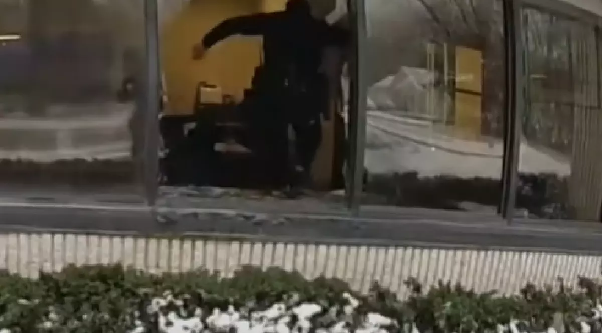 Un polițist intră pe geamul unei bănci, după ce un cerb a declanșat alarma