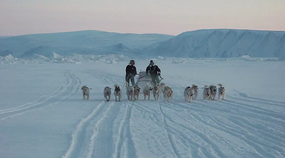 Regele Frederic al X-lea al Danemarcei, pe vremea când era prinț moștenitor, plecat într-o patrulă Sirius pe o distanță de 3.500 de kilometri Foto: Profimedia