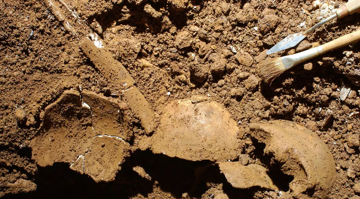 Cea mai veche dovadă de incest, descoperită în ADN-ul antic, în timpul săpăturilor arheologice, în Italia