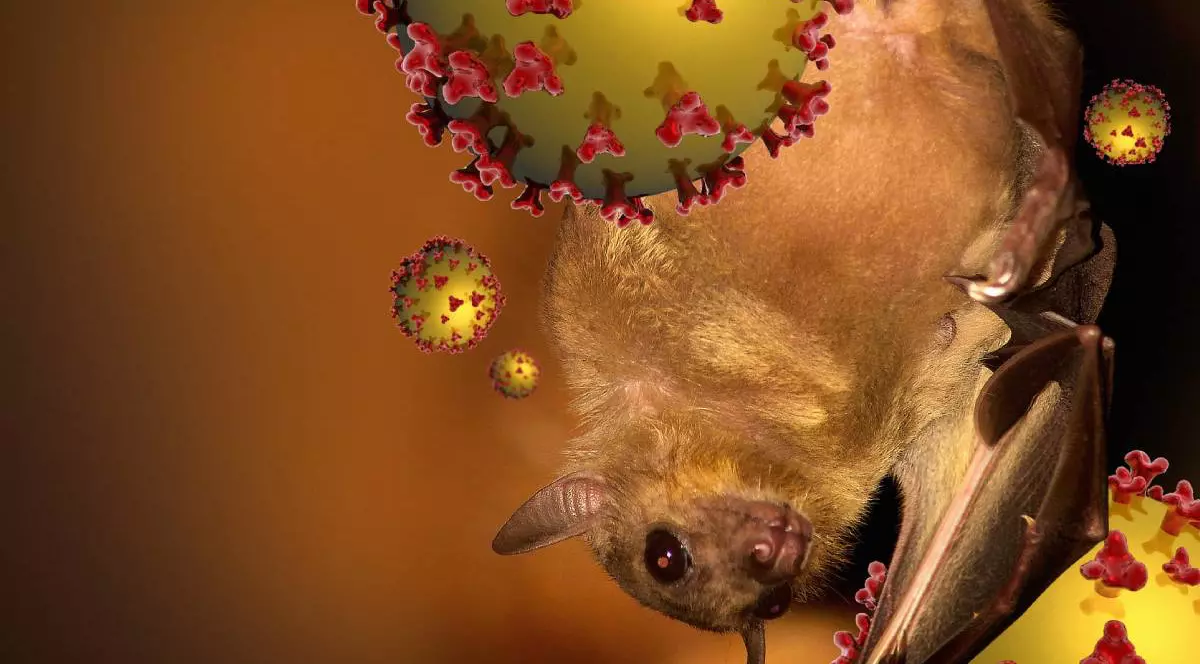 Liliac de fructe și particule de virus Nipah, ilustrație