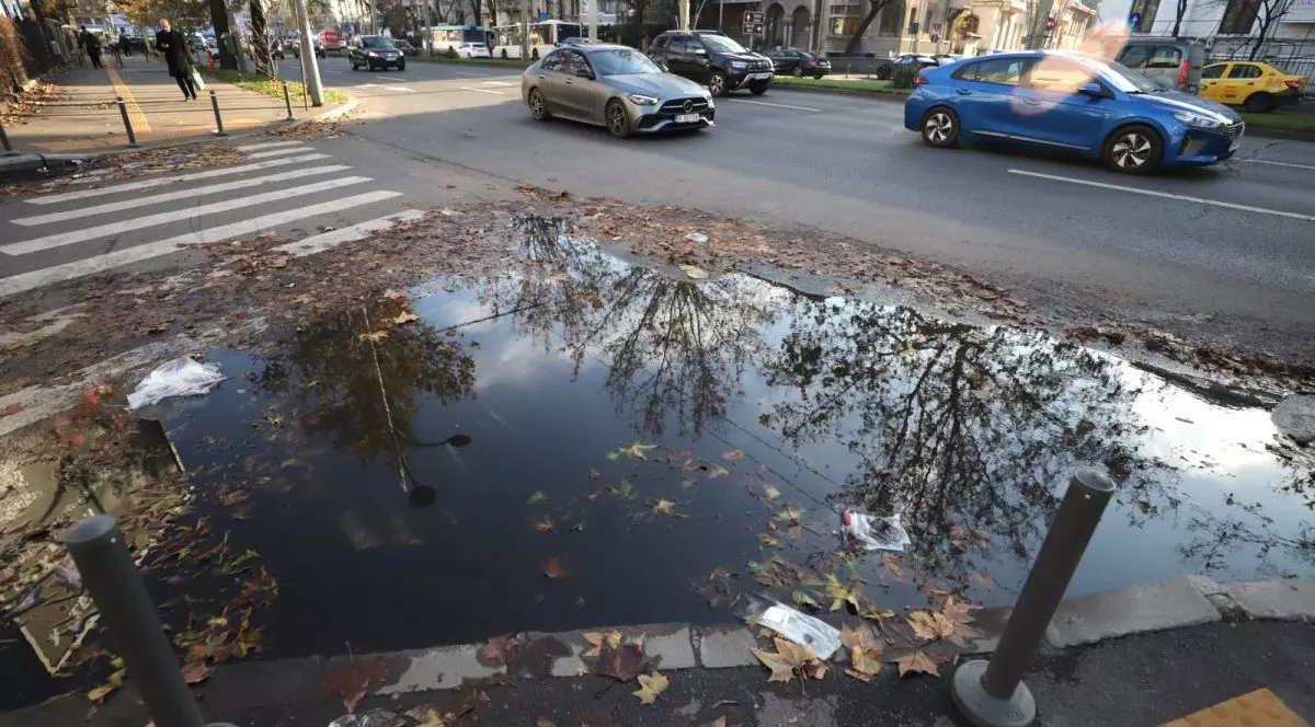 Mai multe mașini merg pe stradă într-o zi însorită, pe jos sunt câteva frunze îngălbenite, iar în centrul imaginii este o baltă de la ploaie, pe o trecere de pietoni, București