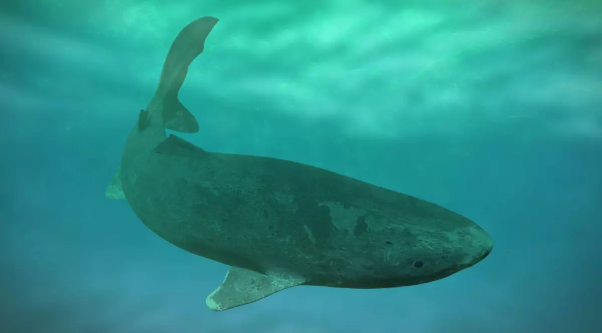 Ce animale trăiesc cel mai mult