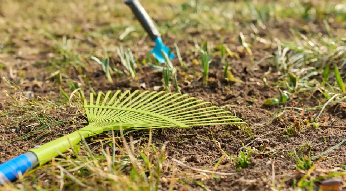 Curățenie de primăvară în grădină