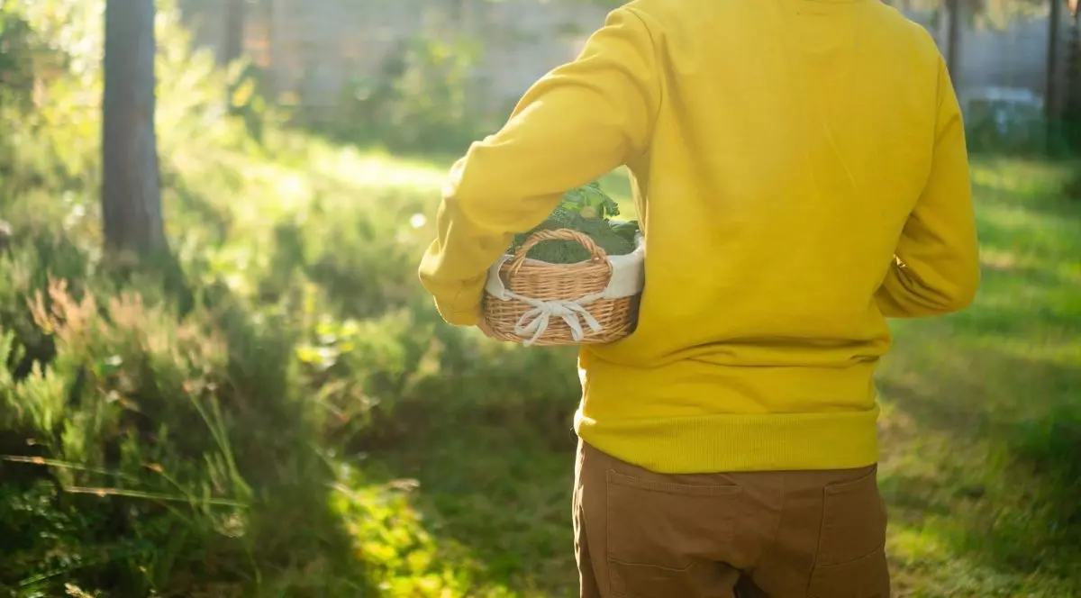 O fermieră duce la braț un coș cu legume, văzută din spate, poartă o bluză galbenă.
