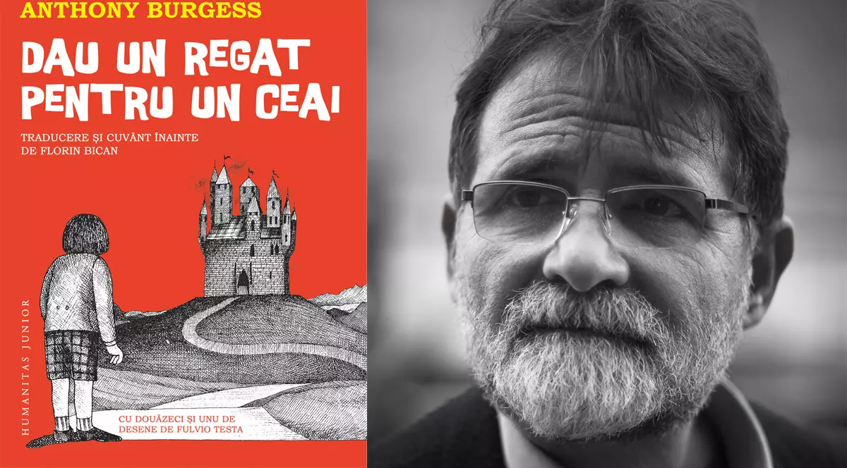 Colaj din coperta cărții Dau un regat pentru un ceai și portretul autorului, Florin Bican.