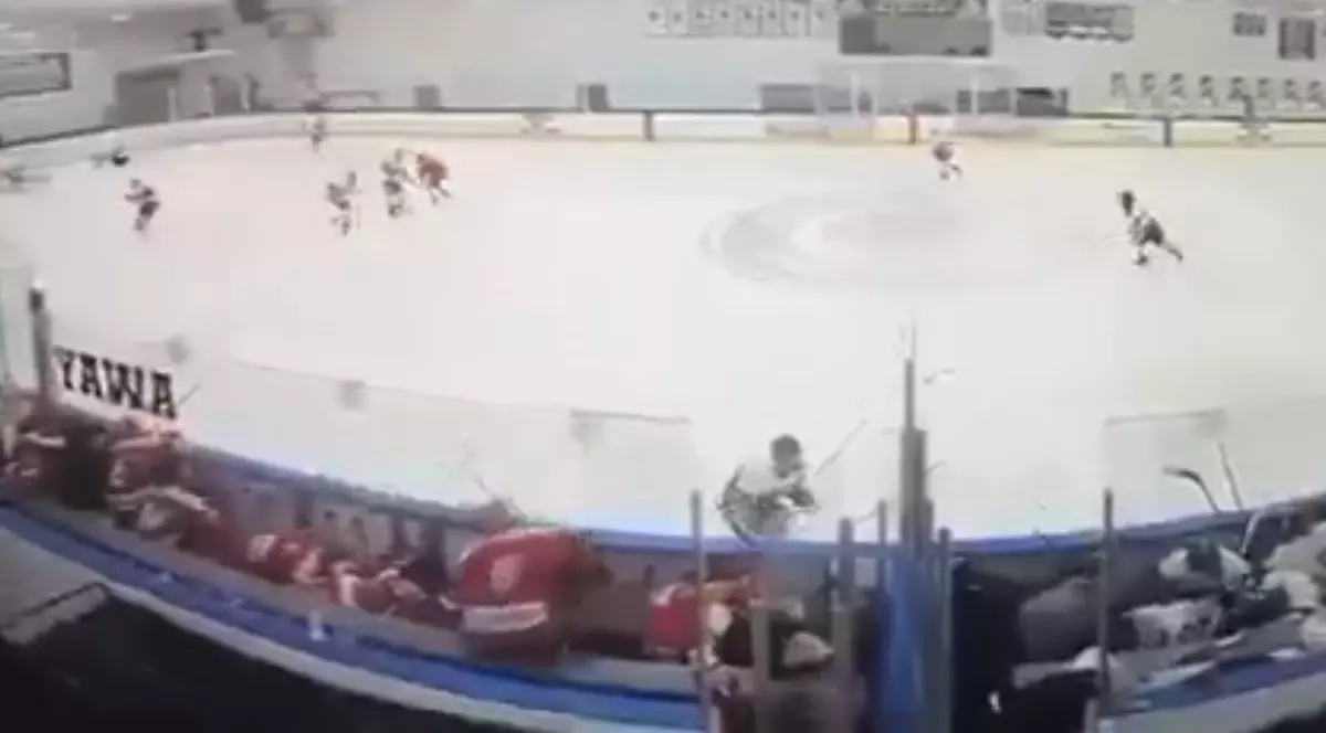 Împușcături la un meci de hochei în SUA. jucătorii s-au speriat și încearcă să se ferească de gloanțe