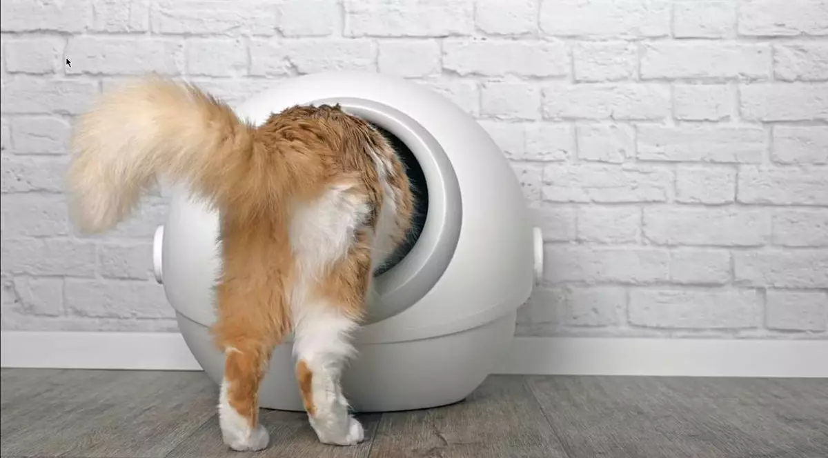 Litiera automată: merită în apartament sau nu schimbă mare lucru?