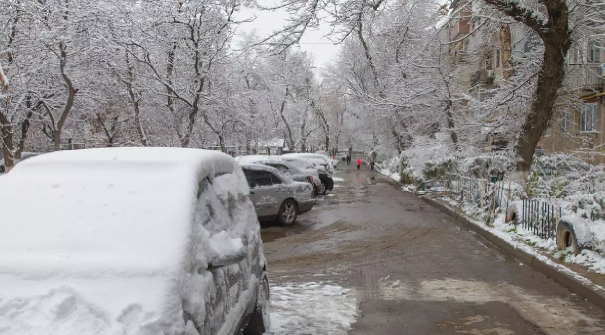Fotografie cu o stradă acoperită, pe marginea căreia sunt parcate mașini și copaci peste care e depusă zăpadă. În dreapta imaginii este un bloc de locuințe, drumul și trotuarele sunt acoperite de zăpadă. În depărtare, pe stradă, se văd câteva persoane.