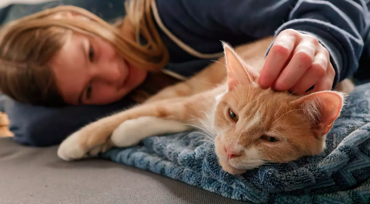 O femeie stă întinsă pe o canapea și își mângâie tandru pisica portocalie, care pare relaxată. Atmosfera este calmă și intimă, sugerând un moment de afecțiune și liniște între om și animal.