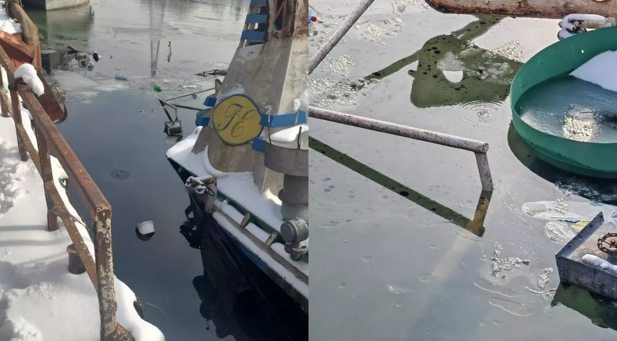 Poluare cu produse petroliere pe Dunăre, la Giurgiu. pete de ulei pe apă